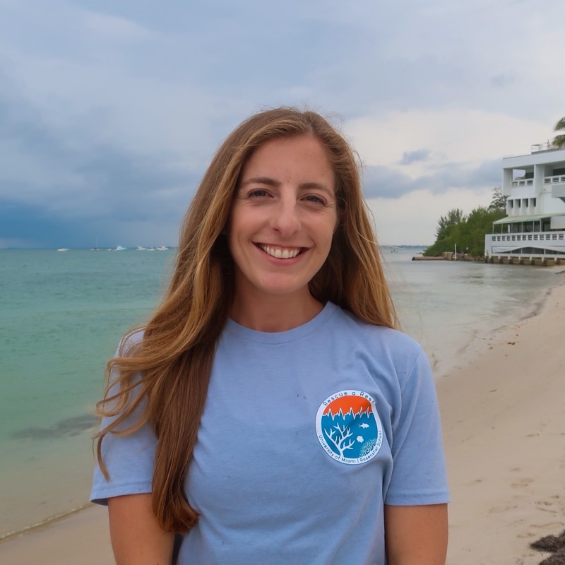 Allyson DeMerlis on a beach in Miami